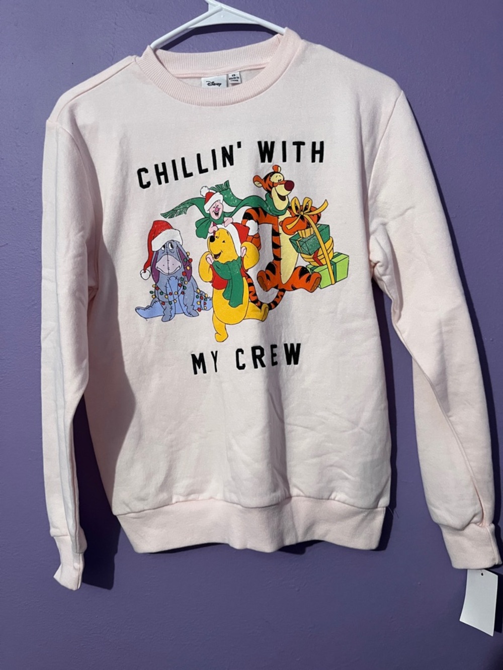 Disney Light Pink Winnie the Pooh 'Chillin' With My Crew' Graphic Crewneck